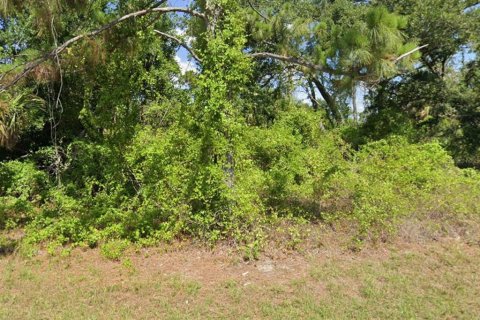Land in Port Charlotte, Florida № 2206060 - photo 3