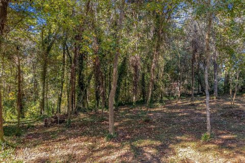 Terreno en venta en Tallahassee, Florida № 2159035 - foto 1