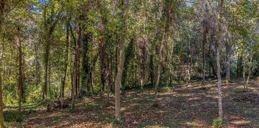 Terreno en Tallahassee, Florida № 2159035