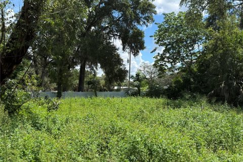 Villa ou maison à vendre à Hudson, Floride: 2 chambres, 82.5 m2 № 2388940 - photo 22