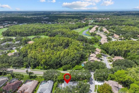 House in Oldsmar, Florida 4 bedrooms, 306.02 sq.m. № 1909854 - photo 2