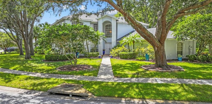 Villa ou maison à Oldsmar, Floride 4 chambres, 306.02 m2 № 1909854