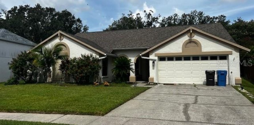 House in Tampa, Florida 4 bedrooms, 220.18 sq.m. № 2390983