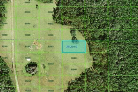 Land in Polk City, Florida № 2163758