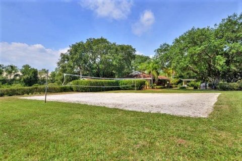 Condo in Palm Harbor, Florida, 2 bedrooms  № 2097485 - photo 29