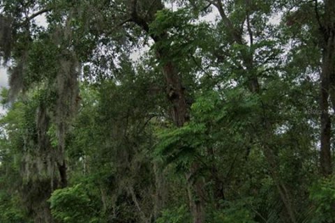 Terreno en venta en Deltona, Florida № 1723270 - foto 1