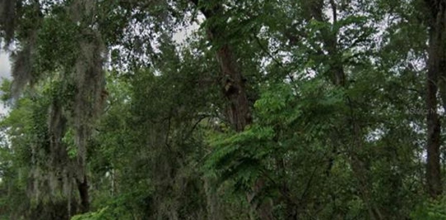 Terreno en Deltona, Florida № 1723270