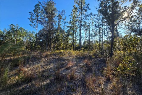 Land in Citrus Springs, Florida № 2163927 - photo 6
