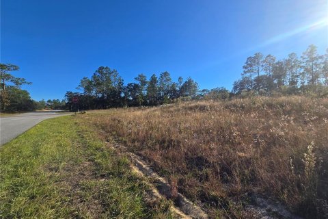 Land in Citrus Springs, Florida № 2163927 - photo 9