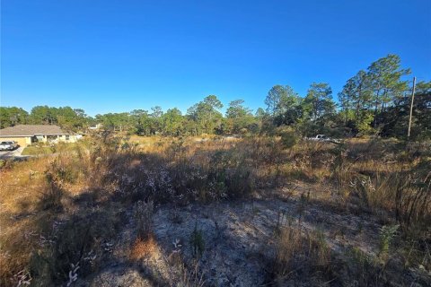 Land in Citrus Springs, Florida № 2163927 - photo 4