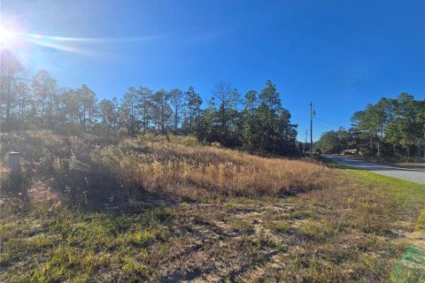 Land in Citrus Springs, Florida № 2163927 - photo 11