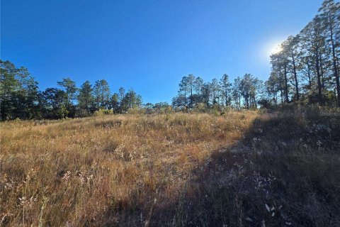 Land in Citrus Springs, Florida № 2163927 - photo 10