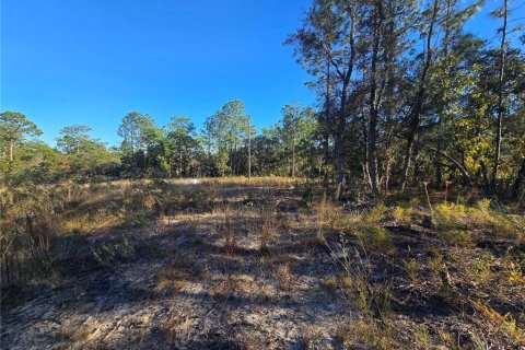 Land in Citrus Springs, Florida № 2163927 - photo 3