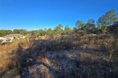 Land in Citrus Springs, Florida № 2163927 - photo 5