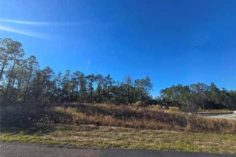 Land in Citrus Springs, Florida № 2163927