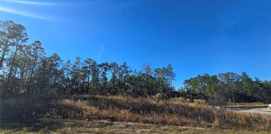 Land in Citrus Springs, Florida № 2163927