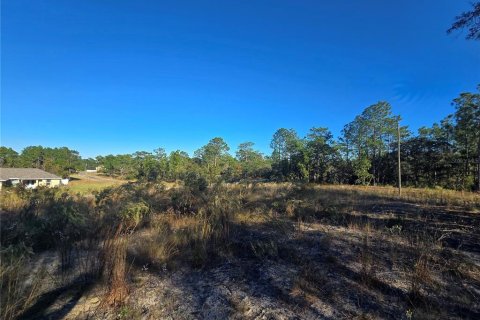 Land in Citrus Springs, Florida № 2163927 - photo 2