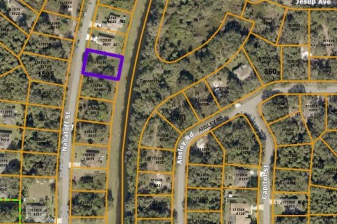 Land in North Port, Florida № 2163468 - photo 4