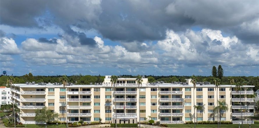 Condo à Saint Petersburg, Floride, 1 chambre  № 2322455