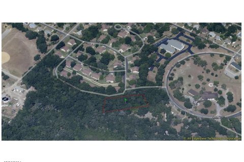 Land in Beverly Hills, Florida № 1313223 - photo 7