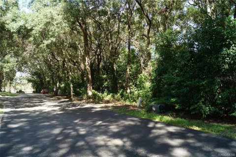 Land in Beverly Hills, Florida № 1313223 - photo 5