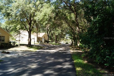 Land in Beverly Hills, Florida № 1313223 - photo 8
