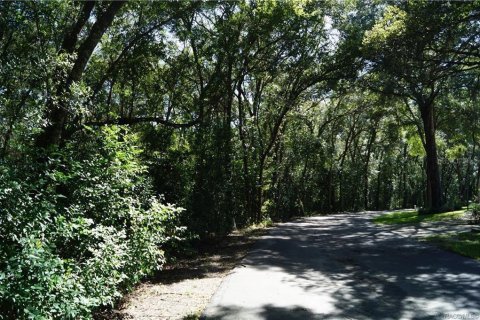 Land in Beverly Hills, Florida № 1313223 - photo 1