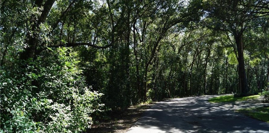 Land in Beverly Hills, Florida № 1313223