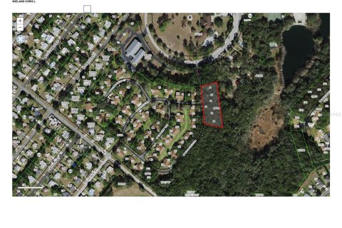 Land in Beverly Hills, Florida № 1313223 - photo 9