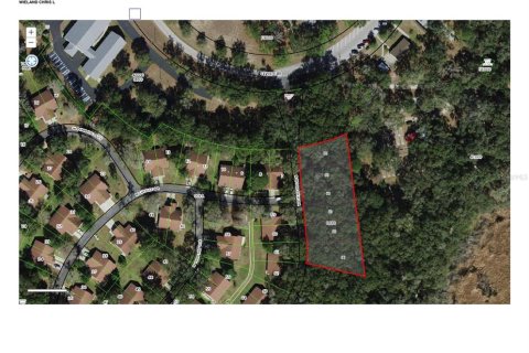 Land in Beverly Hills, Florida № 1313223 - photo 3