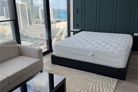 Studio in the Condo in Miami, Florida № 2244094