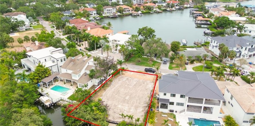 Land in Tampa, Florida № 1776775