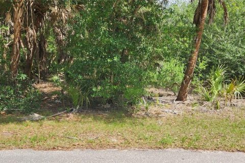 Terreno en venta en Punta Gorda, Florida № 2205871 - foto 4