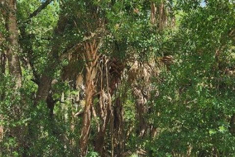 Terreno en venta en Punta Gorda, Florida № 2205871 - foto 2