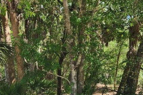 Terreno en venta en Punta Gorda, Florida № 2205871 - foto 3