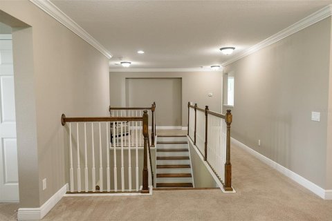 Villa ou maison à vendre à Lutz, Floride: 5 chambres, 394.09 m2 № 1906975 - photo 25