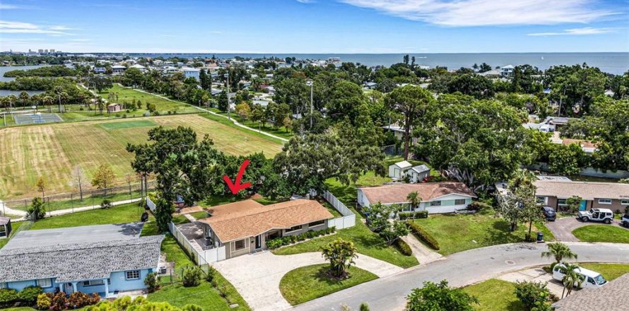House in Saint Petersburg, Florida 4 bedrooms, 164.62 sq.m. № 1871224