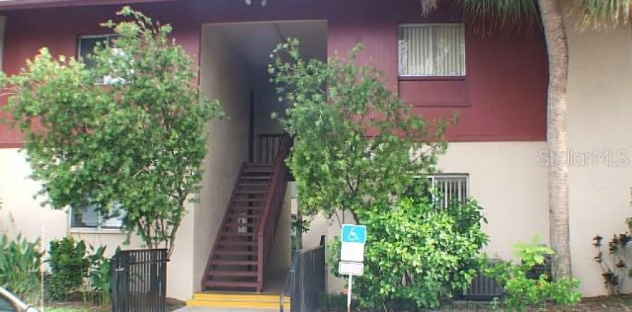 Condo in Tampa, Florida, 1 bedroom № 2118155
