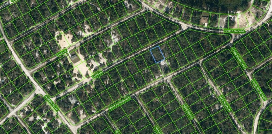 Земельный участок в Лейк-Плэсид, Флорида № 2209296