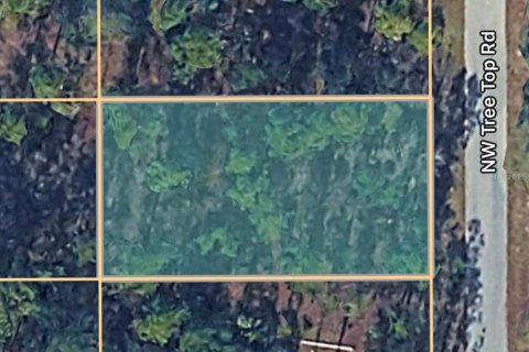 Land in Dunnellon, Florida № 2162920