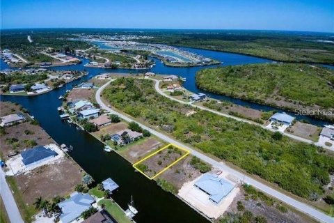 Land in Port Charlotte, Florida № 1564430 - photo 3