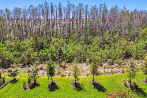 Casa en venta en Wesley Chapel, Florida, 3 dormitorios, 216.83 m2 № 1719809 - foto 3