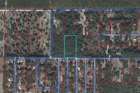 Terreno en Chiefland, Florida № 2228524