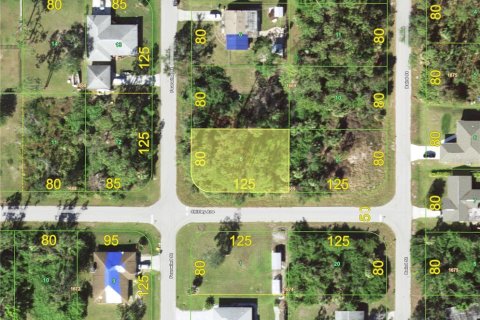 Land in Port Charlotte, Florida № 2159742 - photo 2