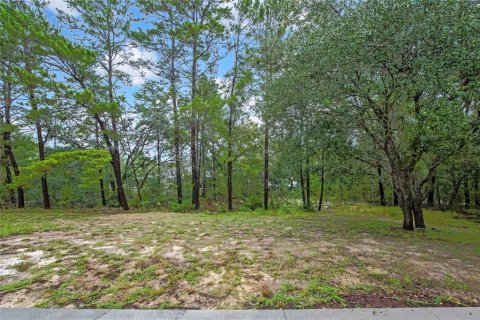 Appartement à louer à Homosassa, Floride: 2 chambres, 98.29 m2 № 2408666 - photo 27