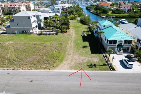 Land in Apollo Beach, Florida № 1552255 - photo 1