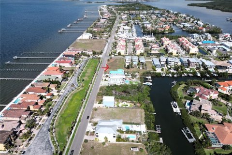 Land in Apollo Beach, Florida № 1552255 - photo 4