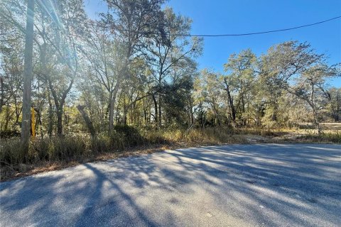Land in Ocala, Florida № 2159229