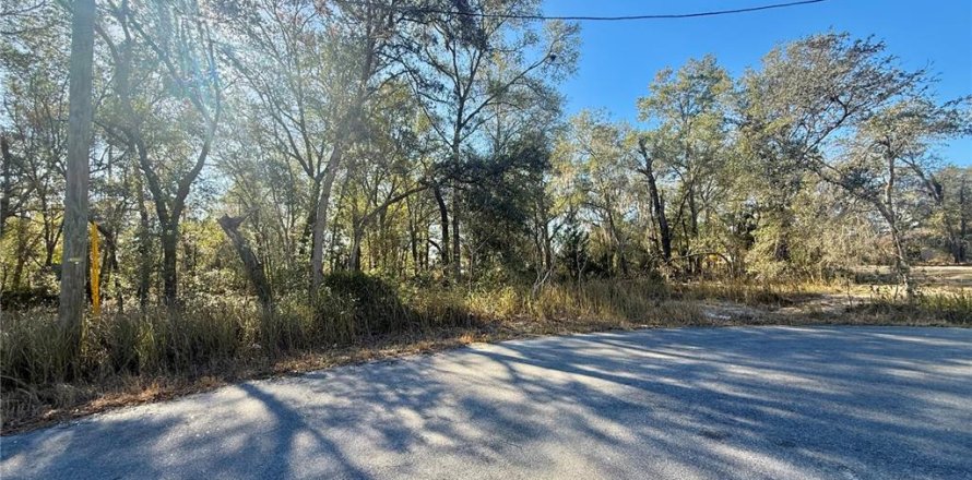 Land in Ocala, Florida № 2159229