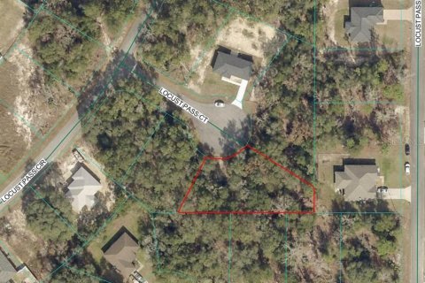 Land in Ocala, Florida № 2159229 - photo 3